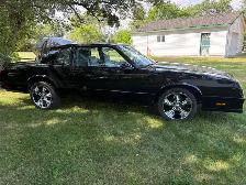 1988 Monte Carlo SS - Photo 9