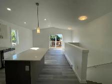 Modern 2 Bedroom 1 Bathroom Apartment