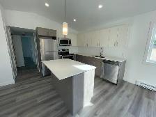 Modern 2 Bedroom 1 Bathroom Apartment - Photo 2