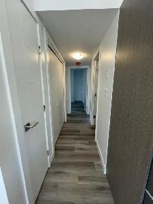 Modern 2 Bedroom 1 Bathroom Apartment - Photo 4