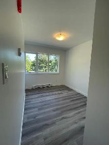 Modern 2 Bedroom 1 Bathroom Apartment - Photo 5