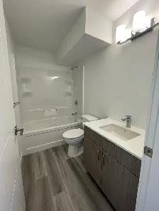 Modern 2 Bedroom 1 Bathroom Apartment - Photo 6