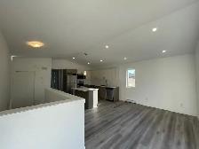 Modern 2 Bedroom 1 Bathroom Apartment - Photo 7