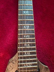 Schecter V-1 Juan of the Dead signature model - Photo 3