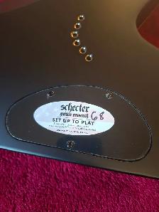 Schecter V-1 Juan of the Dead signature model - Photo 6