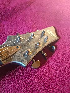 Schecter V-1 Juan of the Dead signature model - Photo 8