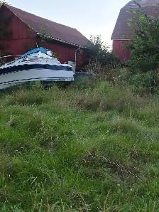 Free Boat