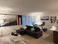 Lease Take-Over for a Halifax Downtown Apartment (1 BED, 1 BATH) - Photo 5
