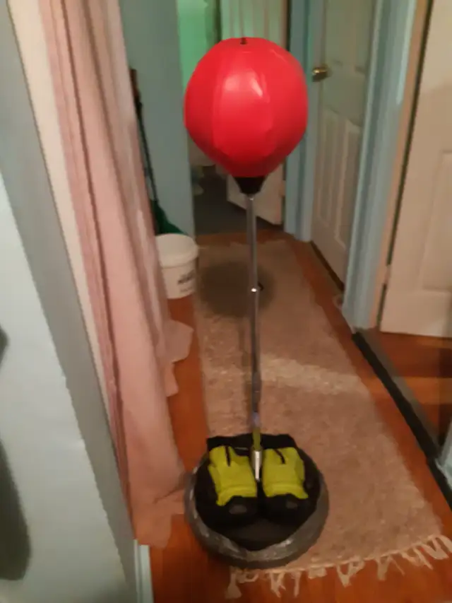 Boxing Bag