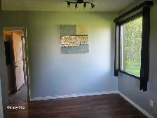 Acreage for sale! 2 Bed, 1 Bath - 25 mins to Sherwood Park - Photo 8