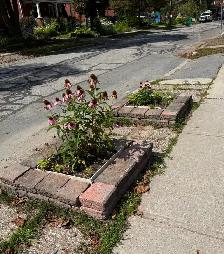 Flowerbeds & Perrenials - Photo 3
