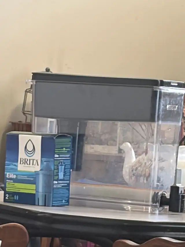 Water filter and container