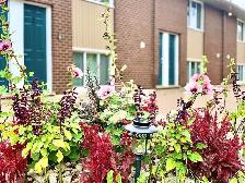 AMNA LINDSAY STUDENT RESIDENCE! - Photo 4