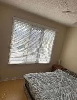 3 Bedroom House for Lease Near Torbram rd & sandlewood Pkwy E - Photo 4