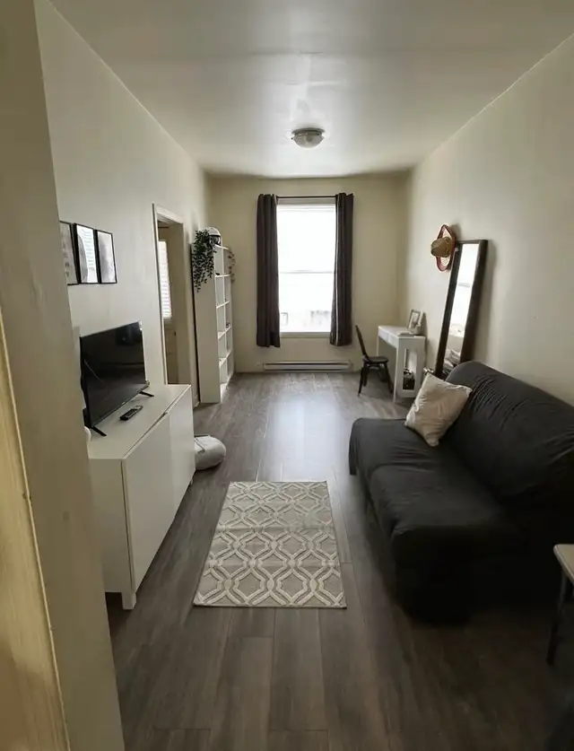 Appartement 3 1/2 - Hochelage maisonneuve