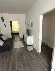 Appartement 3 1/2 - Hochelage maisonneuve - Photo 2
