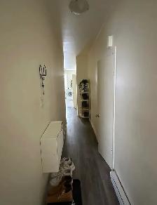 Appartement 3 1/2 - Hochelage maisonneuve - Photo 3