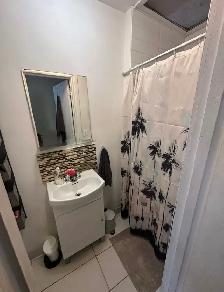 Appartement 3 1/2 - Hochelage maisonneuve - Photo 7