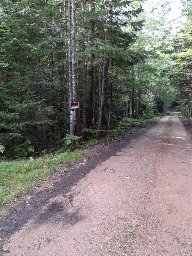 Land 5.2 acres w/12'x16' Building East Dalhousie NS