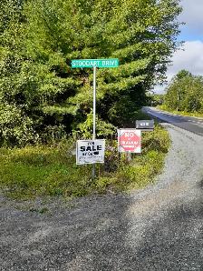 Land 5.2 acres w/12'x16' Building East Dalhousie NS - Photo 5