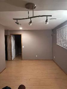 2 Bedroom 1 Bath Lower Level Suite in Bi Level Home in NE - Photo 3