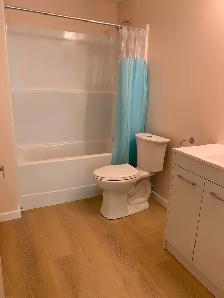Walkout basement for rent 1-bedroom   office - Photo 7