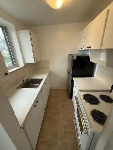 1 Bedroom Apartment - Birchmount Road - Photo 4