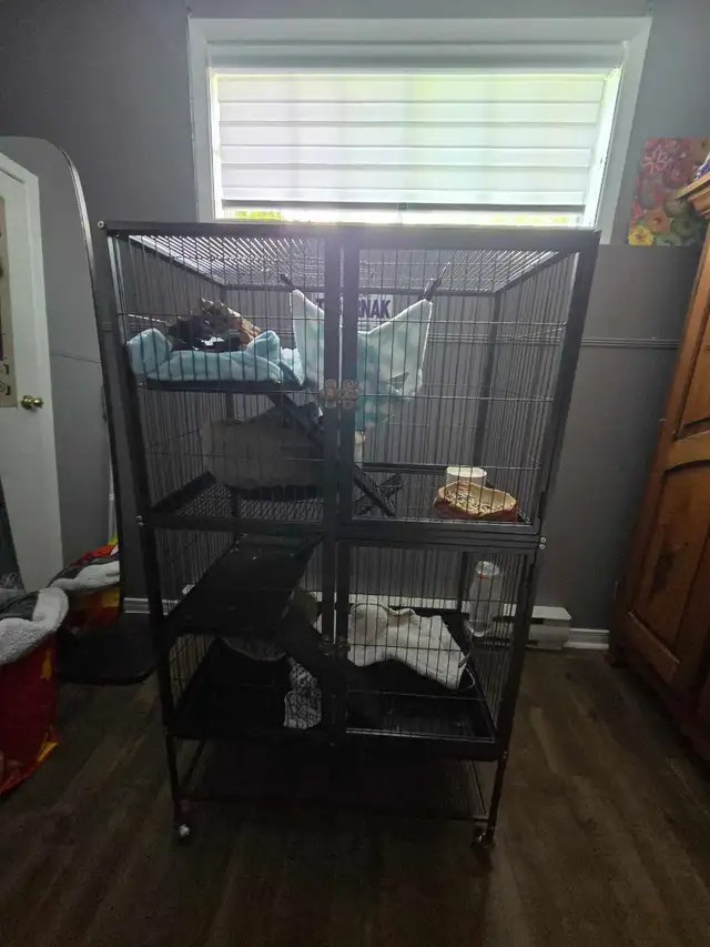 Cage pour animaux