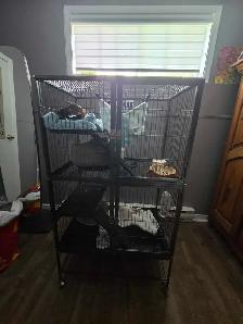 Cage pour animaux