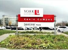 Room with private washroom York University village $750