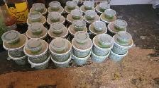 HOMEMADE TIFFIN SERVICE - Photo 2