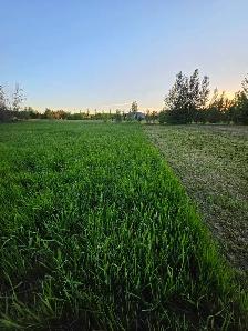 Acreage lawn mowing - Photo 2