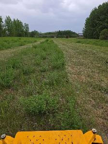Acreage lawn mowing - Photo 4