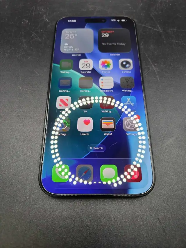 iphone 16 Pro Max 256GB 100% Battery