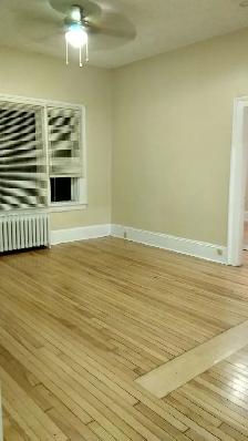 South End Large Sunny 2 Bedroom Flat - Photo 2