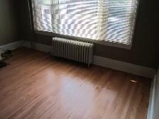 South End Large Sunny 2 Bedroom Flat - Photo 5