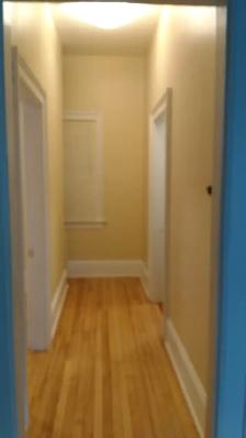 South End Large Sunny 2 Bedroom Flat - Photo 6