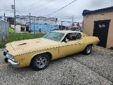 1973 Satellite Plus