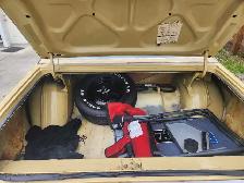 1973 Satellite Plus - Photo 3