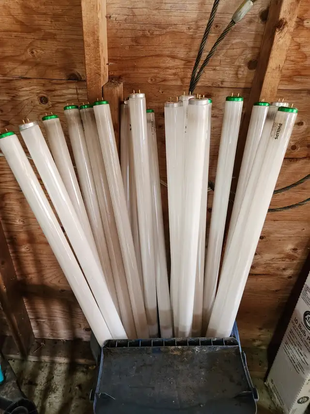 Fluorescent bulbs