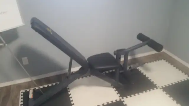 Workout Bench (adjustable) $30