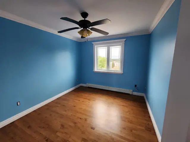 Plasterer / Painter