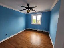 Plasterer / Painter