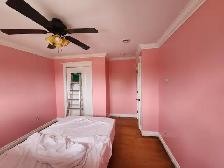 Plasterer / Painter - Photo 3