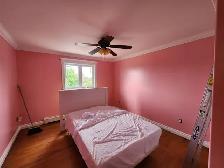 Plasterer / Painter - Photo 4