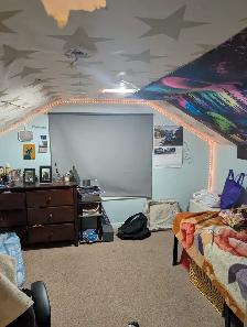 Private Room available in Port Credit, Mississauga - Photo 2