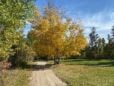 Golf Course For Sale - Photo 8