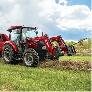 Hay/ Feed