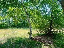 House for rent - Photo 10