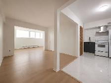 1 CH - 1 SDB - Montréal - $1,250 /mo